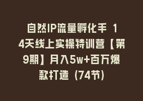 自然IP流量孵化手 14天线上实操特训营【第9期】月入5w+百万爆款打造 (74节)868网课-868网课系统868网课系统