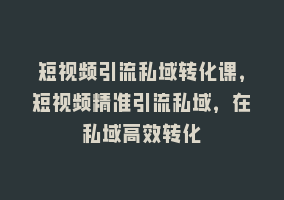 短视频引流私域转化课，短视频精准引流私域，在私域高效转化868网课-868网课系统868网课系统