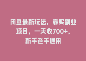 闲鱼最新玩法，靠买副业项目，一天收700+，新手老手通用868网课-868网课系统868网课系统