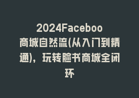 2024Faceboo商城自然流(从入门到精通)，玩转脸书商城全闭环868网课-868网课系统868网课系统