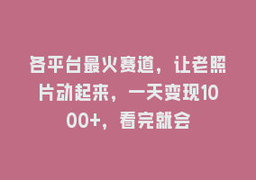 各平台最火赛道，让老照片动起来，一天变现1000+，看完就会868网课-868网课系统868网课系统