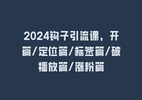 2024钩子引流课，开篇/定位篇/标签篇/破播放篇/涨粉篇868网课-868网课系统868网课系统