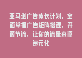 亚马逊广告成长计划，全面掌握广告矩阵搭建，开源节流，让你的流量来源多元化868网课-868网课系统868网课系统