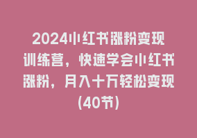 2024小红书涨粉变现训练营，快速学会小红书涨粉，月入十万轻松变现(40节)868网课-868网课系统868网课系统