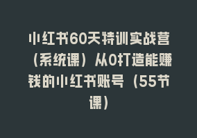 小红书60天特训实战营（系统课）从0打造能赚钱的小红书账号（55节课）868网课-868网课系统868网课系统