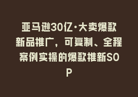 亚马逊30亿·大卖爆款新品推广，可复制、全程案例实操的爆款推新SOP868网课-868网课系统868网课系统