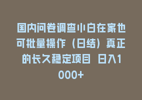 国内问卷调查小白在家也可批量操作（日结）真正的长久稳定项目 日入1000+868网课-868网课系统868网课系统