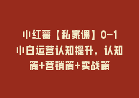 小红薯【私家课】0-1小白运营认知提升，认知篇+营销篇+实战篇868网课-868网课系统868网课系统