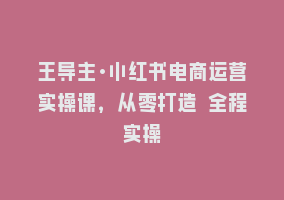 王导主·小红书电商运营实操课，从零打造 全程实操868网课-868网课系统868网课系统