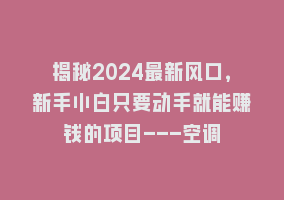 揭秘2024最新风口，新手小白只要动手就能赚钱的项目—空调868网课-868网课系统868网课系统