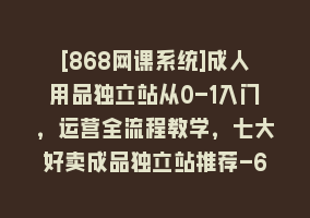 [868网课系统]成人用品独立站从0-1入门，运营全流程教学，七大好卖成品独立站推荐-6节课868网课-868网课系统868网课系统