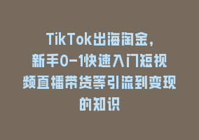 TikTok出海淘金，新手0-1快速入门短视频直播带货等引流到变现的知识868网课-868网课系统868网课系统