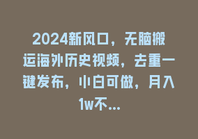 2024新风口，无脑搬运海外历史视频，去重一键发布，小白可做，月入1w不…868网课-868网课系统868网课系统