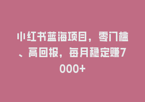 小红书蓝海项目，零门槛、高回报，每月稳定赚7000+868网课-868网课系统868网课系统