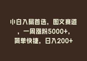 小白入局首选，图文赛道，一周涨粉5000+，简单快捷，日入200+868网课-868网课系统868网课系统