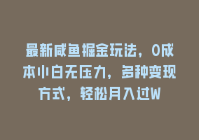 最新咸鱼掘金玩法，0成本小白无压力，多种变现方式，轻松月入过W868网课-868网课系统868网课系统