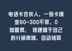 电话卡合伙人，一张卡佣金60-300不等，0加盟费， 搭建属于自己的分销商城，自动结算868网课-868网课系统868网课系统