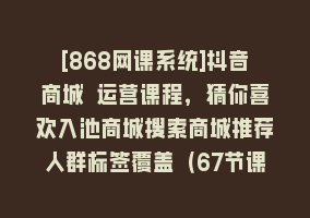 [868网课系统]抖音商城 运营课程，猜你喜欢入池商城搜索商城推荐人群标签覆盖（67节课）868网课-868网课系统868网课系统