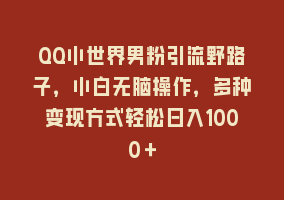 QQ小世界男粉引流野路子，小白无脑操作，多种变现方式轻松日入1000＋868网课-868网课系统868网课系统