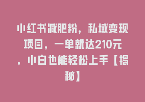 小红书减肥粉，私域变现项目，一单就达210元，小白也能轻松上手【揭秘】868网课-868网课系统868网课系统