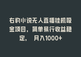 右豹小说无人直播挂机吸金项目，简单易行收益稳定， 月入1000+868网课-868网课系统868网课系统