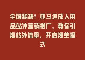 全网稀缺！亚马逊成人用品站外营销推广，教你引爆站外流量，开启爆单模式868网课-868网课系统868网课系统