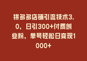 拼多多店铺引流技术3.0，日引300+付费创业粉，单号轻松日变现1000+868网课-868网课系统868网课系统