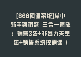 [868网课系统]从小新手到销冠 三合一速成：销售3法+非暴力关单法+销售系统挖需课 (27节)868网课-868网课系统868网课系统