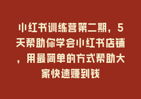 小红书训练营第二期，5天帮助你学会小红书店铺，用最简单的方式帮助大家快速赚到钱868网课-868网课系统868网课系统