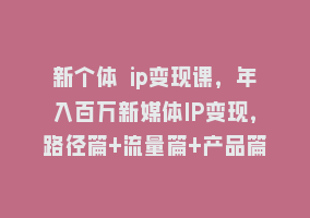 新个体 ip变现课，年入百万新媒体IP变现，路径篇+流量篇+产品篇868网课-868网课系统868网课系统