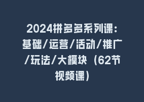 2024拼多多系列课：基础/运营/活动/推广/玩法/大模块（62节视频课）868网课-868网课系统868网课系统