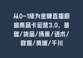 从0-1成为金牌直播橱窗商品卡运营3.0，基础/货品/场景/话术/数据/商城/千川868网课-868网课系统868网课系统