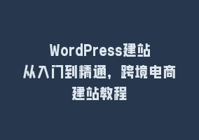 WordPress建站从入门到精通，跨境电商建站教程868网课-868网课系统868网课系统