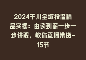 2024千川全域投流精品实操：由谈到深一步一步讲解，教你直播带货-15节868网课-868网课系统868网课系统