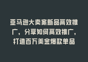 亚马逊大卖家新品高效推广，分享如何高效推广，打造百万美金爆款单品868网课-868网课系统868网课系统