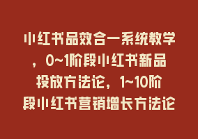 小红书品效合一系统教学，0~1阶段小红书新品投放方法论，1~10阶段小红书营销增长方法论868网课-868网课系统868网课系统