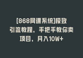 [868网课系统]极致引流教程，手把手教你卖项目，月入10W+868网课-868网课系统868网课系统