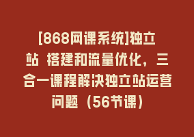 [868网课系统]独立站 搭建和流量优化，三合一课程解决独立站运营问题（56节课）868网课-868网课系统868网课系统