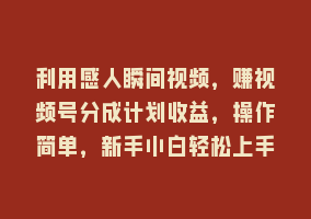 利用感人瞬间视频，赚视频号分成计划收益，操作简单，新手小白轻松上手868网课-868网课系统868网课系统