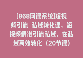 [868网课系统]短视频引流 私域转化课，短视频精准引流私域，在私域高效转化（20节课）868网课-868网课系统868网课系统