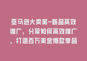 亚马逊大卖家-新品高效推广，分享如何高效推广，打造百万美金爆款单品868网课-868网课系统868网课系统