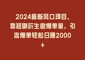 2024最新风口项目，靠短剧衍生做爆单量，引流爆单轻松日赚2000+868网课-868网课系统868网课系统