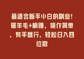 最适合新手小白的副业！薅羊毛+躺赚，操作简单，有手就行，轻松日入四位数868网课-868网课系统868网课系统