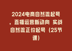 2024电商自然流起号，直播运营新动向 实战自然流正价起号（25节课）868网课-868网课系统868网课系统