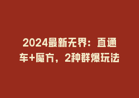 2024最新无界：直通车+魔方，2种群爆玩法868网课-868网课系统868网课系统