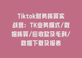 Tiktok财务核算实战营：TK业务模式/数据核算/应收款及毛利/数据下载及报表868网课-868网课系统868网课系统