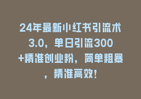 24年最新小红书引流术3.0，单日引流300+精准创业粉，简单粗暴，精准高效！868网课-868网课系统868网课系统