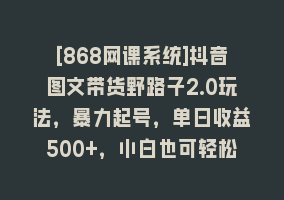 [868网课系统]抖音图文带货野路子2.0玩法，暴力起号，单日收益500+，小白也可轻松上手！868网课-868网课系统868网课系统