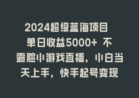 2024超级蓝海项目 单日收益5000+ 不露脸小游戏直播，小白当天上手，快手起号变现868网课-868网课系统868网课系统