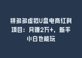 拼多多虚拟U盘电商红利项目：月赚2万+，新手小白也能玩868网课-868网课系统868网课系统